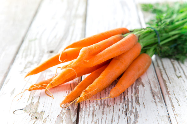 zanahorias frescas de granja